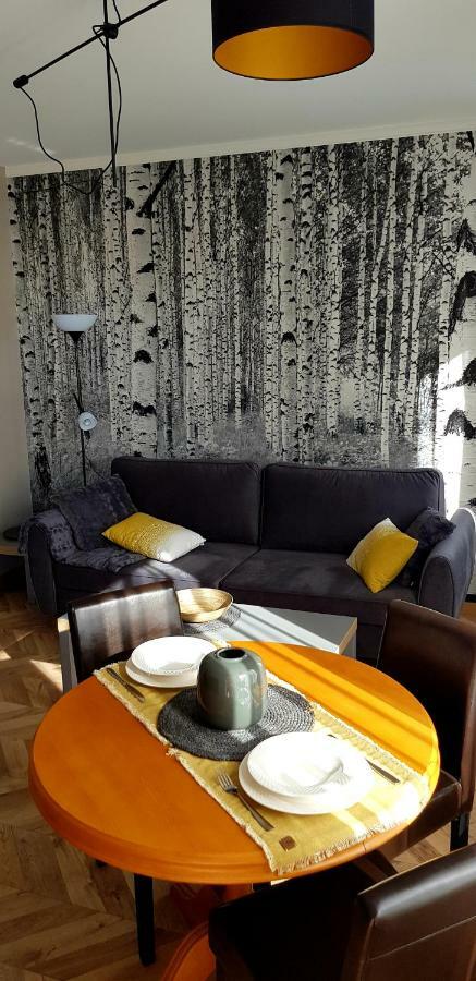 Apartament Brzozowy *